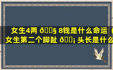 女生4两 🐧 8钱是什么命运（女生第二个脚趾 🐡 头长是什么命运）